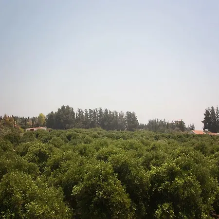Citrus Grove לימסול